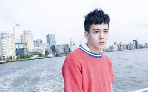 刘宪华爆料对象是谁呀视频,视频主角身份成谜  第2张